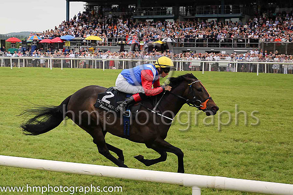 01st Lady Mega and Robbie Downey , trainer Edward Lynam winners of The Louis Roederer Handicap at Down Royal