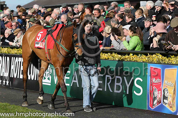 05th FOXROCK ( 5 , yellow, dark blue sash ) and Denis O'Regan - Trainer : T M Walsh