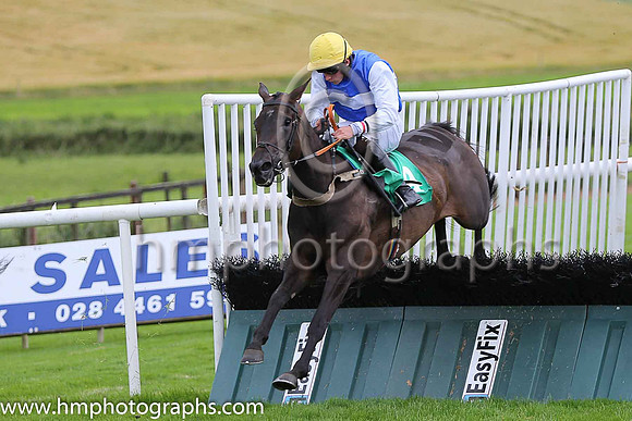 08th Howwouldsheno and C Brassil ( 4 , royal blue, white hoop ) Trainer - L Lennon