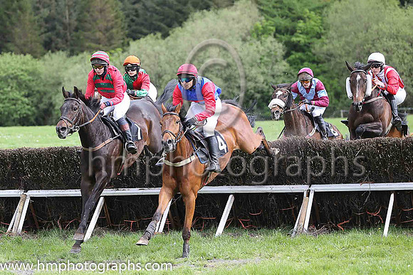 F AMERICAN IMAGE and N Gault ( 4 , ROYAL BLUE,red hoop; red sleeves; red cap ) Trainer: S. Michael Millar,, Owner : S. Michael Millar