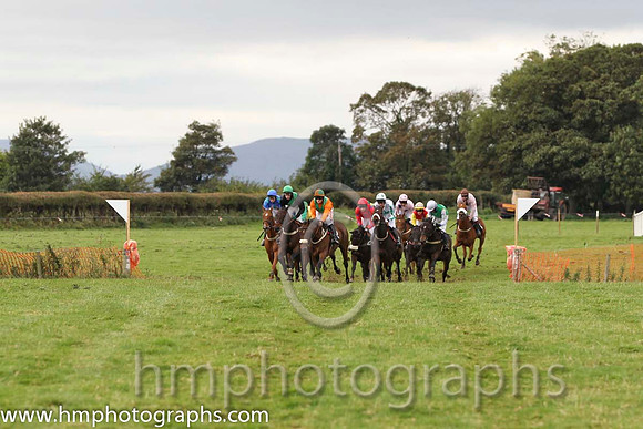 01 The Last Derby & R James - Winner (2, tangerine, green chevrons) - FT8E8428-24