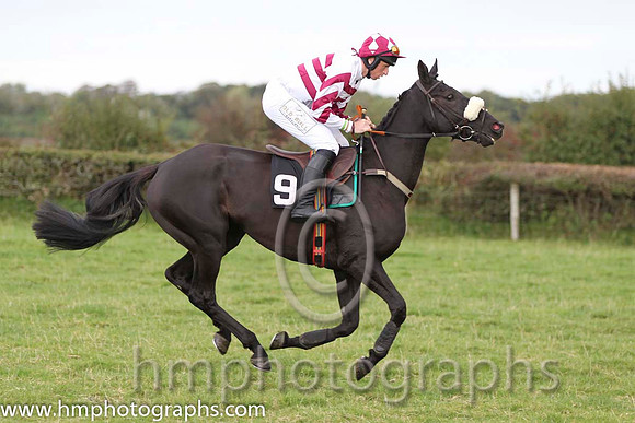 02 River Clare & J j Codd - 2nd (9, white and maroon hoops) - FT8E8318-23