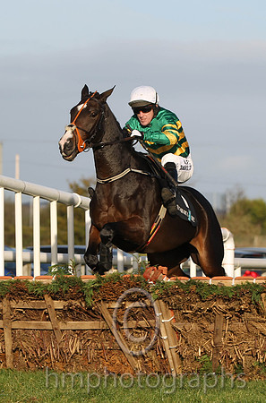 01 Jezki & A P McCoy - winner (1,emerald green and orange hooped ) - FT8E0027-2
