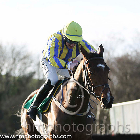 04 Beau Ballistic & R Loughran - 4th (1, royal blue and yellow stripes) - FT8E1170-50