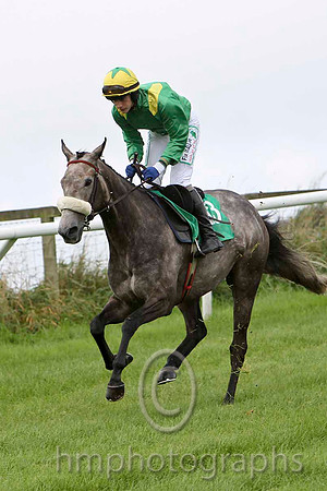 Black Rock Lake , Jockey P Townend - 3rd - CU2D2221-e