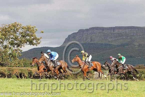01 Chosen Dream & S Clements - winner (3, emerald green, red braces) - FT8E8338-51