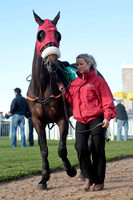 Demoolah , 6th, Jockey M J Ferris - CU2D9314-e