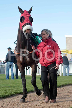 Demoolah , 6th, Jockey M J Ferris - CU2D9314-e