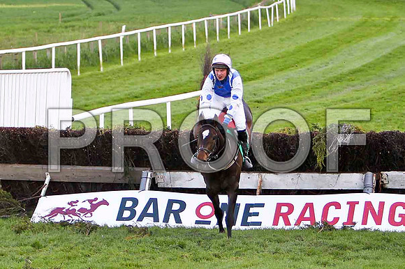 Curragh Boy , 10th, Jockey - Mr T A Dolan - FT8E3228-e