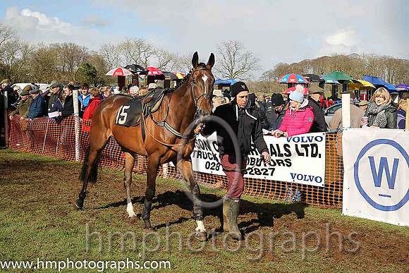 Lsrge crowds at East Antrim Hounds Point to Point at Loughamore on Easter Tuesday