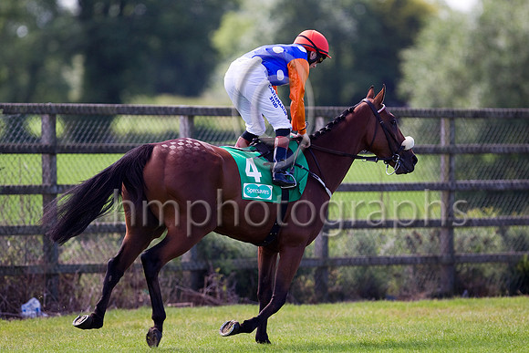 Celtic Dane (Orange Cap),  Jockey C D Haynes going to post before winning the Specsavers 2 For 1 Ulster Derby  - FT8E1288-e3a4j