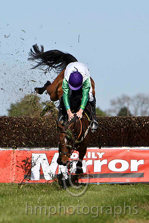 Tammys Hill - Fell, Jockey M W Bowes - FT8E2201-e