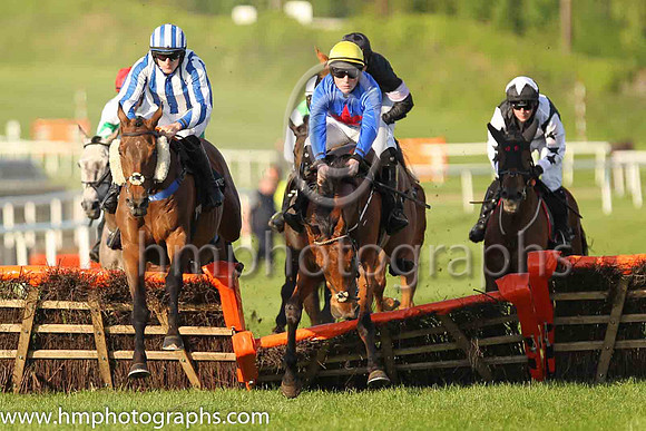 PU Gladiatorial and D. McGill(7) (5 ,blue, red star ), Trainer:Noel C. Kelly , Owner:William M. Brown