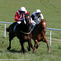 2016/04/16th - County Down Hounds P2P at Loughbrickland (lr)
