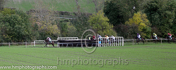 Race 5 County Down Hounds P2P at Loughbrickland