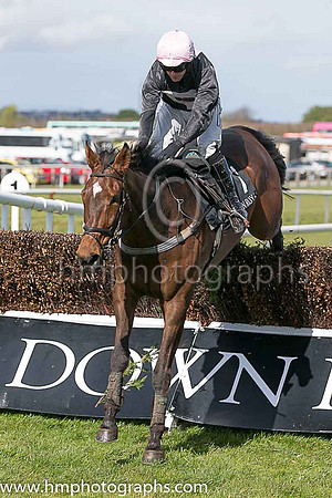 07th Shake The Bucket ( 7 , black, pink hollow box ) and N P Madden - Trainer : N Madden - Owner : Ms Sarah Ann Madden