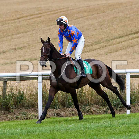 Supper Collider - 4th, Jockey B M Cash  - FT8E3819-e