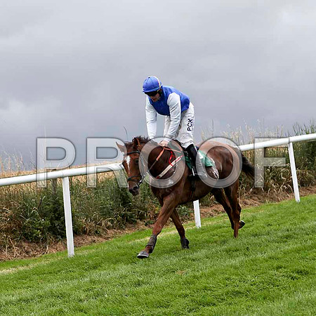 Better Back Bob - 6th, Jockey R C Colgan -IMG_9402-e