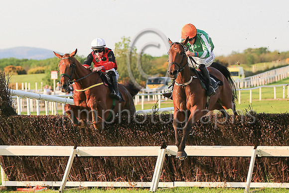 01st Fenlon's Hill and A W Short 5 ( 6 , green, white seam ) Trainer - P Stafford , Owner - John Blake