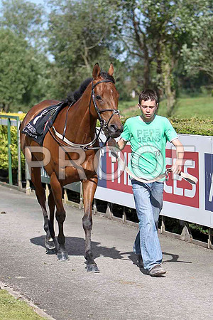 Tipper Road 5th- CU2D035-e7