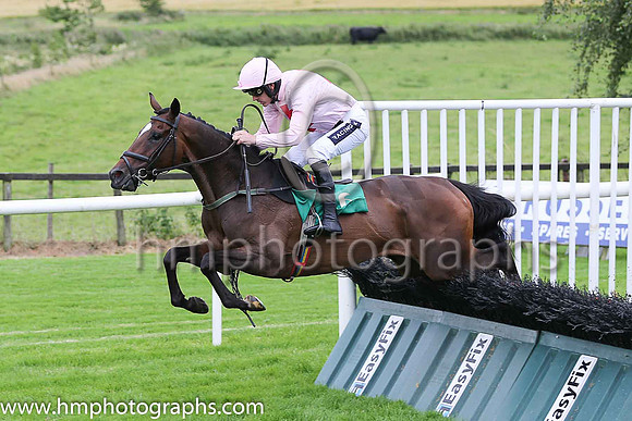01st Sam King and R Walsh ( 6 , pink, red cross ) Trainer - T M Walsh