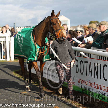 Tammys Hill - winner of the CGA Foxhunter Chase at Cheltenham - FT8E4331-6