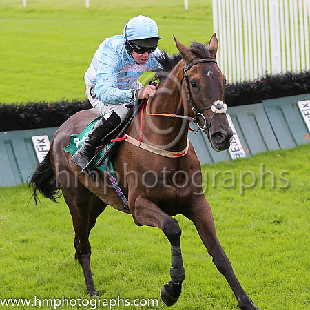 05th Idee Emeryand A E Lynch ( 8 , light blue and pink chevrons ) Trainer - H de Bromhead
