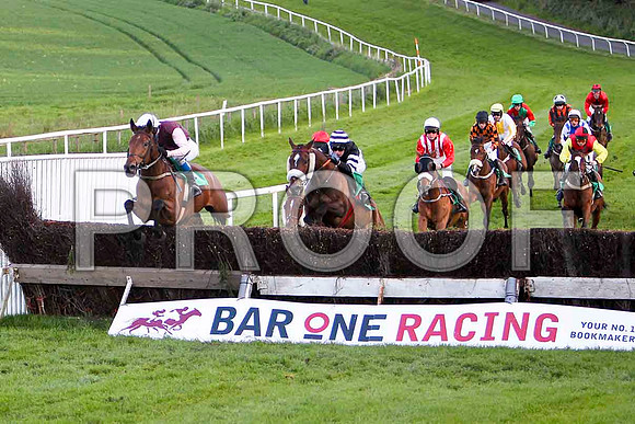 Rose of Fairyhill , 4th, Jockey Mr J T Carroll in the lead - FT8E3178-e