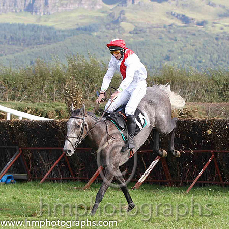 01 The Grey Taylor & J J Codd - winner (14, white, red sash) - FT8E8167-22