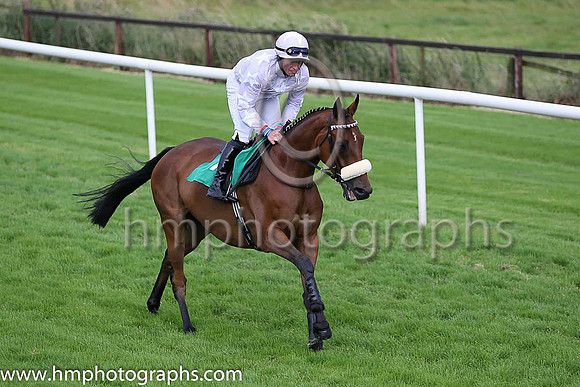 PU Mr Bien and R T Dunne ( 7 , mauve, white stars ) Trainer - D P Dunne