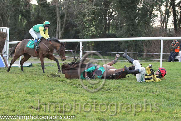 12 Harpor & Mr J T Carroll - PU (7, emerald green, yellow star) & 10 FergieTheLegend & Mr J P McKeown - Fell (4, black and yellow stripes ) - FT8E1486-28