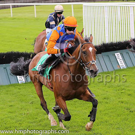 03rd Lord De Beaufai and D Meyler ( 4 , royal blue, orange spots ) Trainer - A J Martin