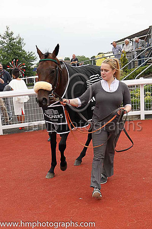 01st Stellar Mass and Kevin Manning, trainer J S Bolger win the Magners Ulster Derby of 100,000 Euro (Premier Handicap) at Down Royal