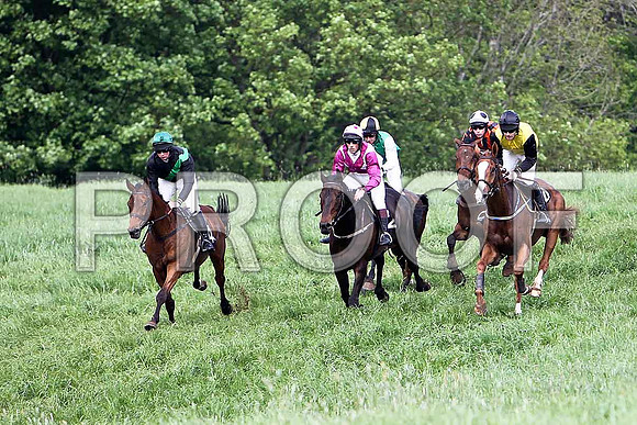 Fourth Race - High Chief (8) PU - in the lead, Rider Ms P O'Neill - CU2D9618-e