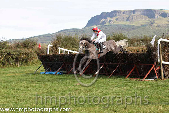 01 The Grey Taylor & J J Codd - winner (14, white, red sash) - FT8E8141-e-78