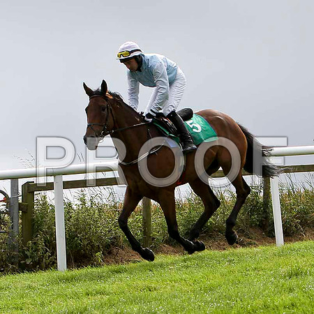 Cinderella Story - 5th, Jockey A P Thornton   - FT8E3863-e