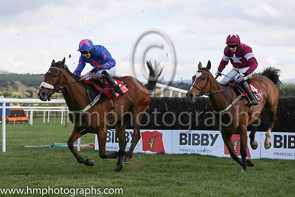 03rd DON POLI ( 4 , maroon, white star, maroon cap ) and B J Cooper - Trainer : W P Mullins