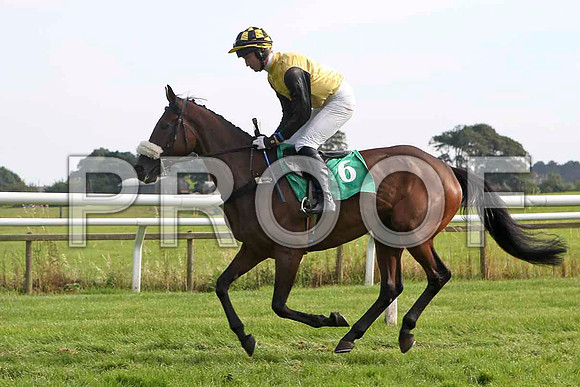 Lady Edina 9th , Jockey Mr J C Barry - FT8E3197-e