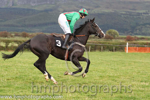 01 Chosen Dream & S Clements - winner (3, emerald green, red braces) - FT8E8322-27