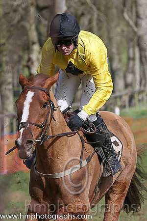 TOP FLYER and B O'Neill ( 9 , YELLOW,black diamond; yellow sleeves; black cap ) Trainer: Mrs John B. Ross,, Owner : Mrs John B. Ross