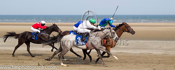 1 Our Max and S Foley - - 1st (3 ,white, emerald green large spots ) Trainer - Patrick Martin