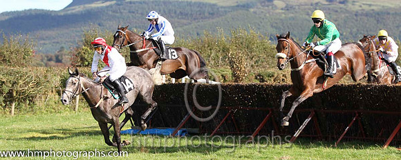 01 The Grey Taylor & J J Codd - winner (14, white, red sash) - FT8E8129-77