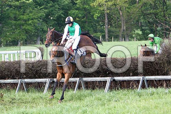 Race 6 Div 2 - Glyding Feather (10) Winner, Rider M J O'Hare & Pay as You Go (24) PU, Rider M J Henry - CU2D9817-e