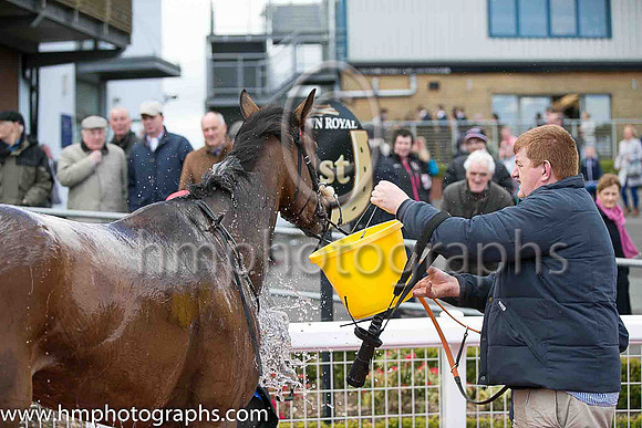 01st Kilkishen  ( 3 , royal blue, red stars on sleeves ) and Brian Hayes - Trainer : John Joseph Hanlon - Owner : Sean Hehir O'Regan - Trainer : A Fleming - Owner : Barry Connell