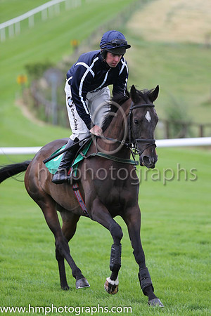 06th Tish Hall and A E Lynch ( 9 , dark blue, white seams ) Trainer - S R B Crawford