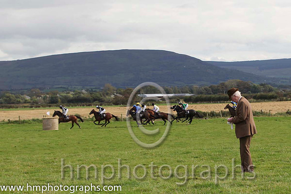 Picking a winner at the Route Point to Point steeplechases at Limavady - FT8E8329-45