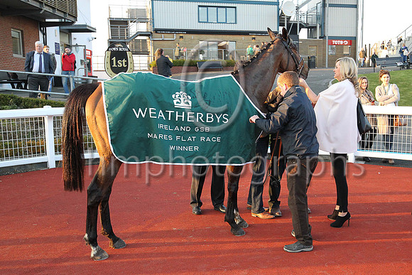 01st Dixie Lee ( 1 , pink, white hoop, blue cap ) and M.J. O'Hare (5) - Trainer : Dermot Anthony McLoughlin - Owner : Mrs.P.J.Conway