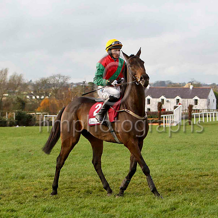 Coolcashin - Jockey D J Condon - 4th - CU2D1082-e2
