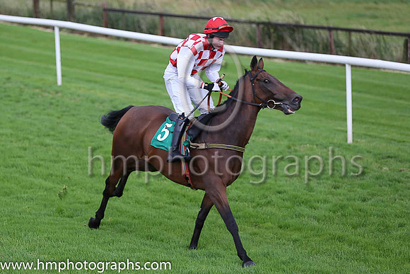 11th The Shaughraun and E O'Connell ( 5 , red and white check ) Trainer - E O?Connell