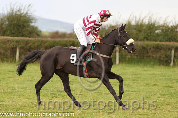 02 River Clare & J j Codd - 2nd (9, white and maroon hoops) - FT8E8316-21
